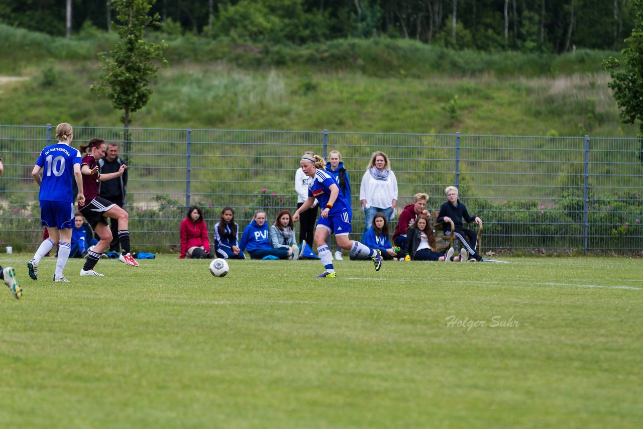 Bild 214 - Frauen FSC Kaltenkirchen : SG Wilstermarsch : Ergebnis: 1:1